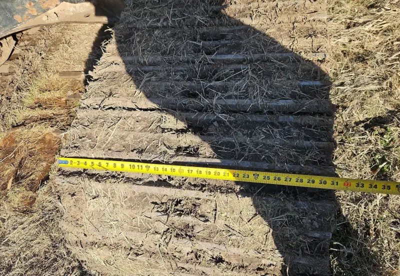 2016 Caterpillar 323FL photo 69