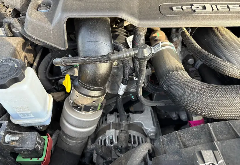 2021 Jeep Wrangler photo 76